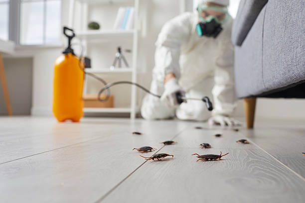 Commercial Kitchen Cockroach Control in Acushnet Center